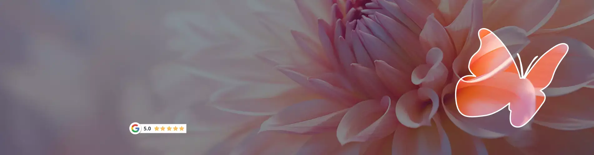 Pompes funèbres Denoi & Costes